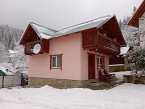 Гостиница Holiday Home Melodiya Karpat  Яремче